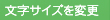 文字サイズを変更