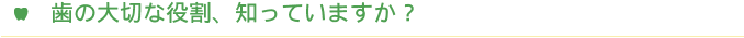 歯の大切な役割、知っていますか？