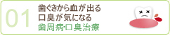 歯ぐきから血が出る口臭が気になる 